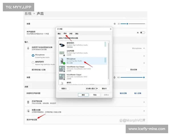 MorphVox Pro语音变换软件深度解析及功能应用详解 MorphVox Pro语音变换软件深度解析及功能应用详解